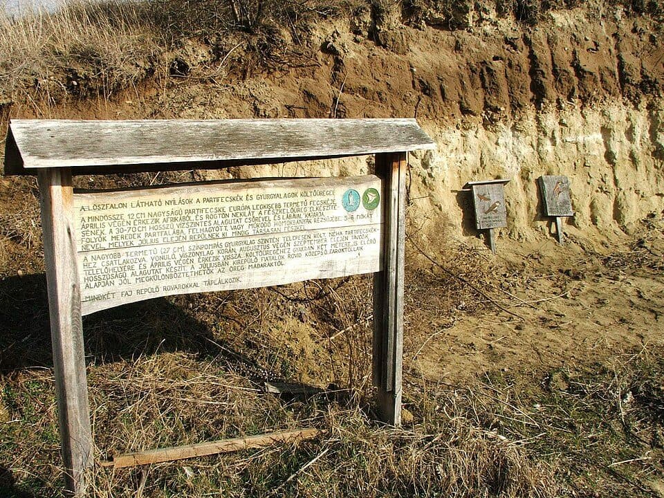 Kis-Strázsa-hegy — zdjęcie 2