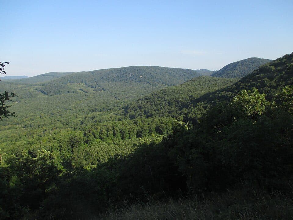 Nyerges-hegy — zdjęcie 3