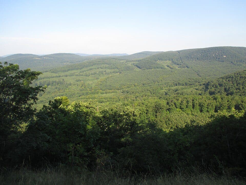 Nyerges-hegy — zdjęcie 2