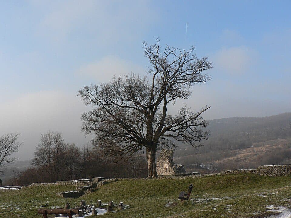 Z (Esztergom, há. – Maróti-hegyek – Pilisszentkereszt)