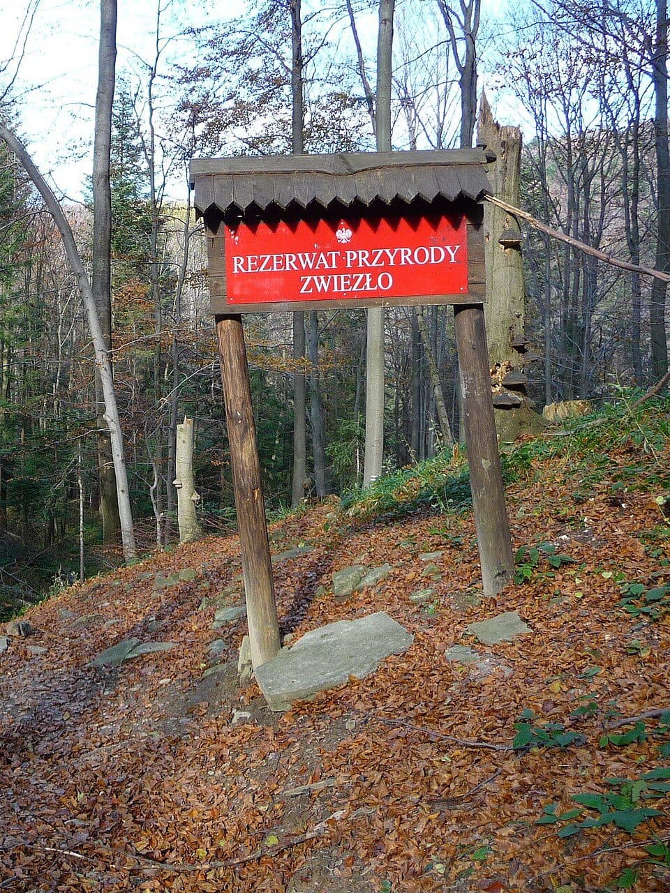 Jeziorka Duszatyńskie — zdjęcie 3