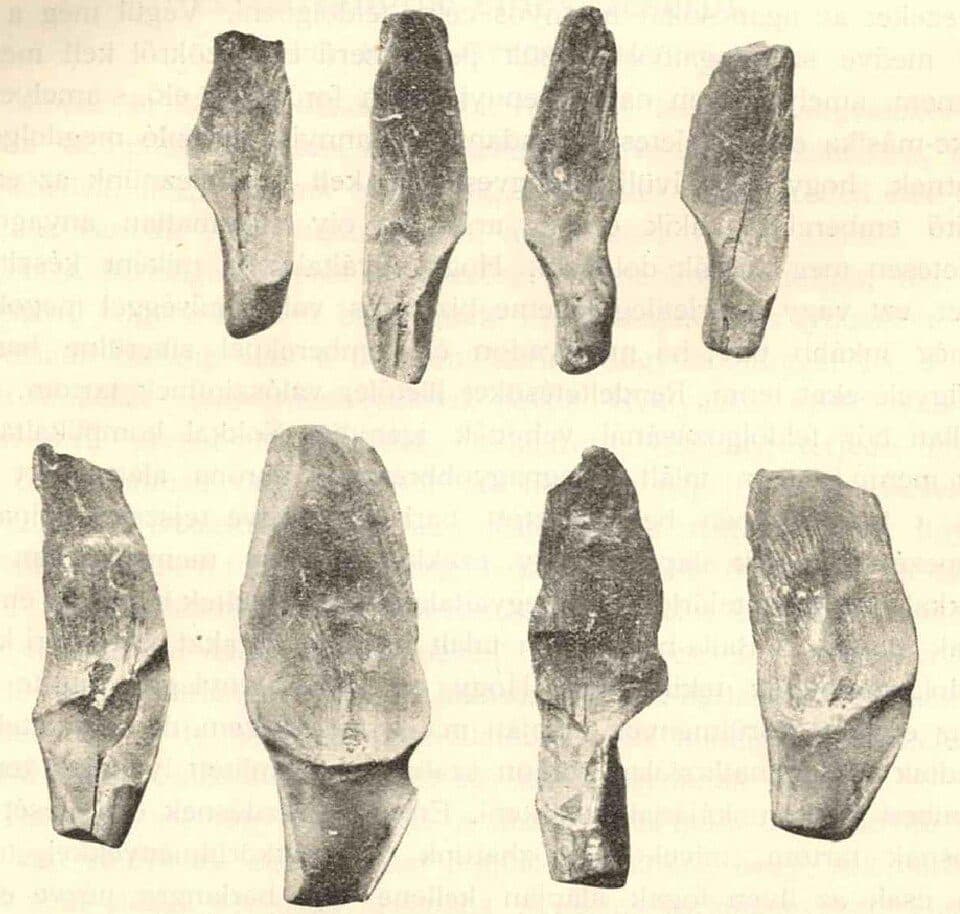 P (Csillaghegy – Dömös)