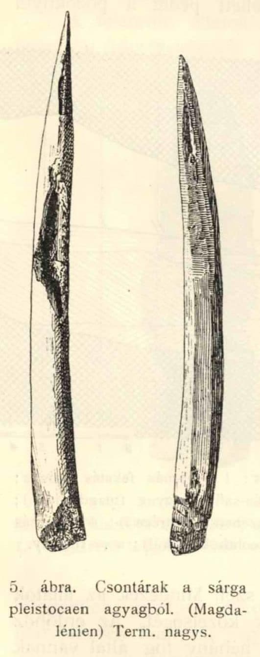 P (Csillaghegy – Dömös)