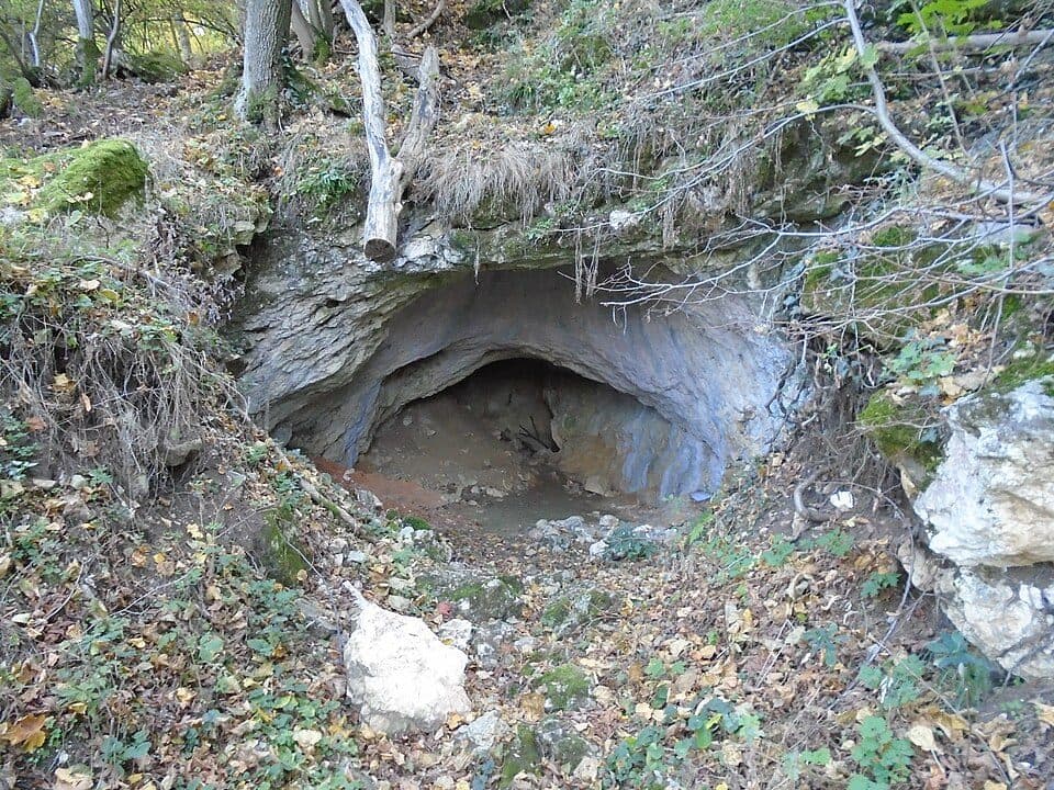 P (Csillaghegy – Dömös)