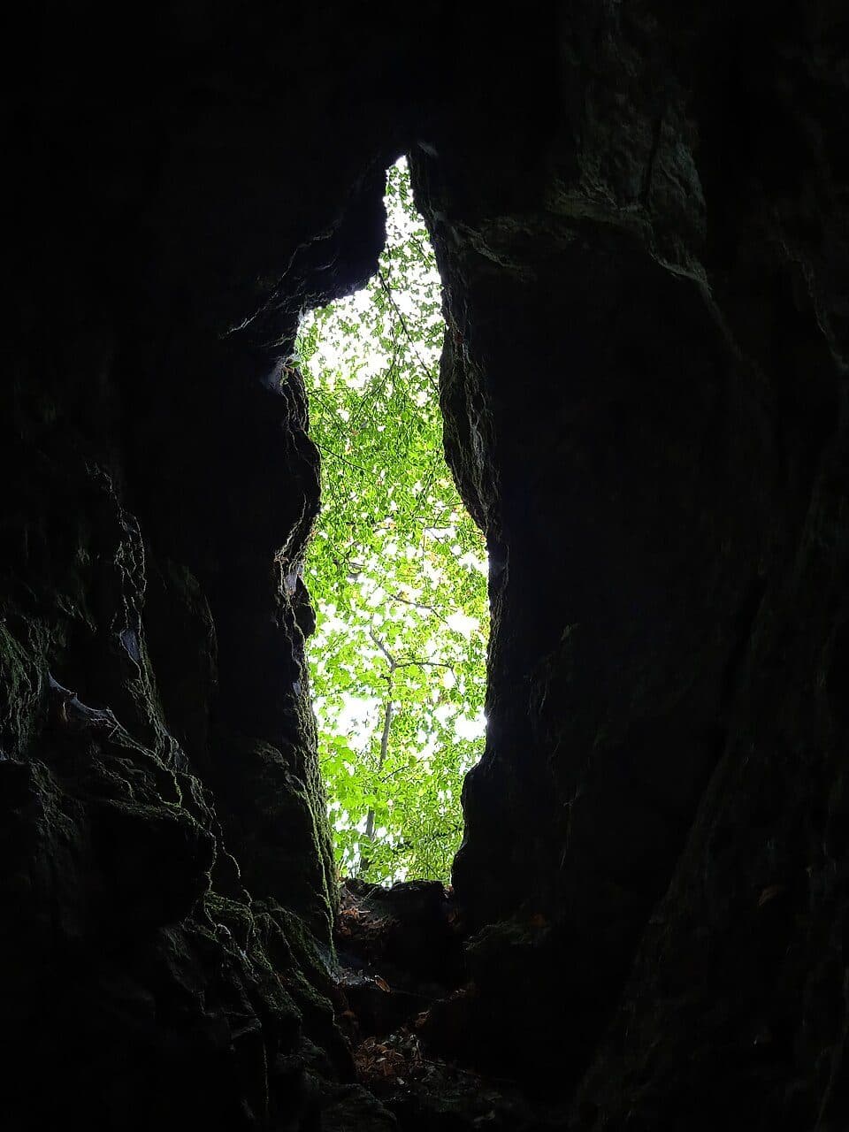 P (Csillaghegy – Dömös)