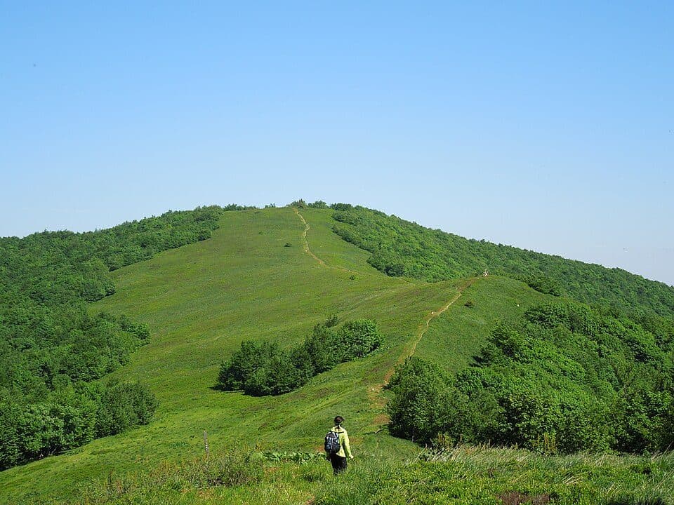 Stolová