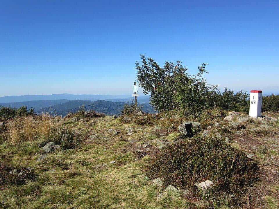 Uličské Krivé - Topoľa