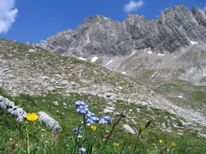 Noppenspitze — zdjęcie 3