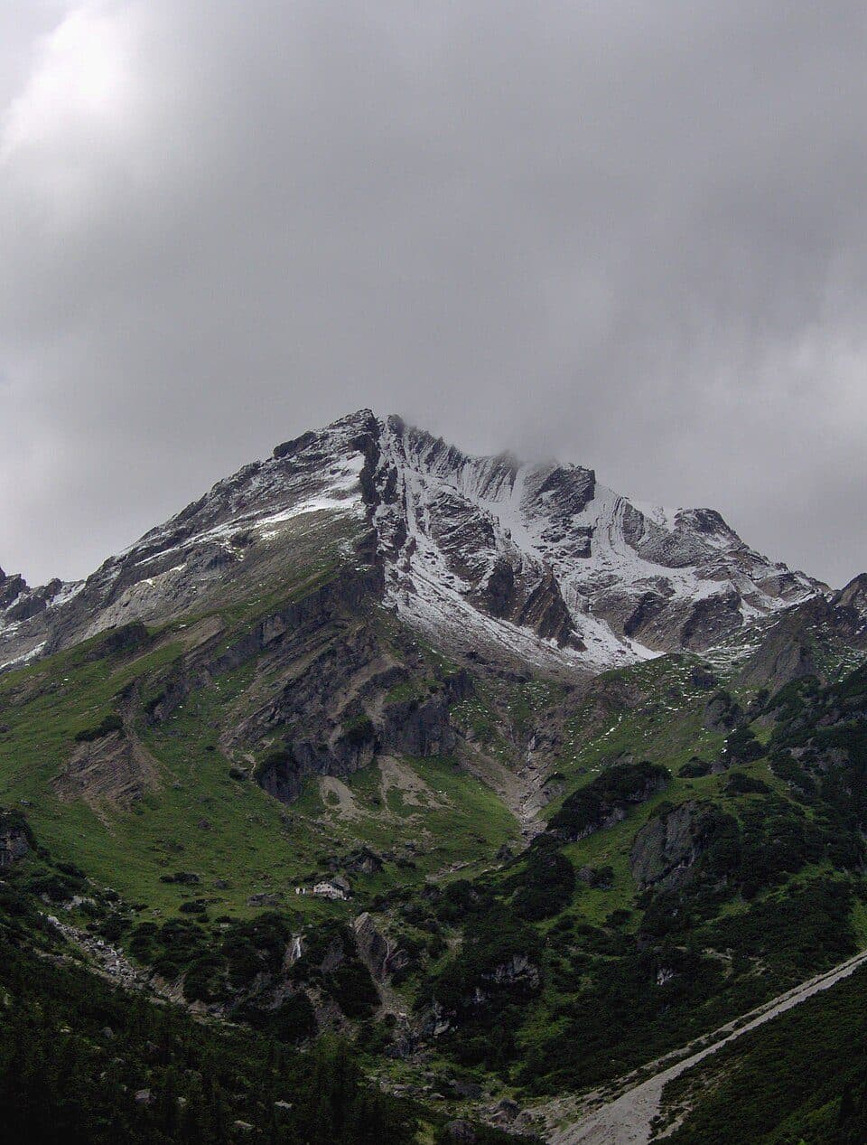Muttekopf