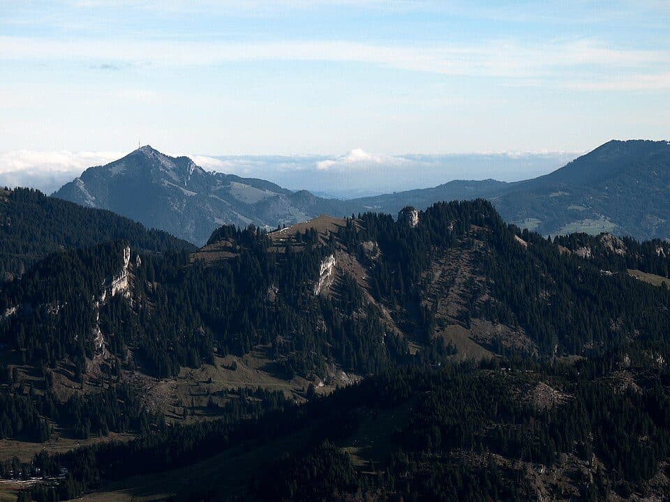 Besler — zdjęcie 3