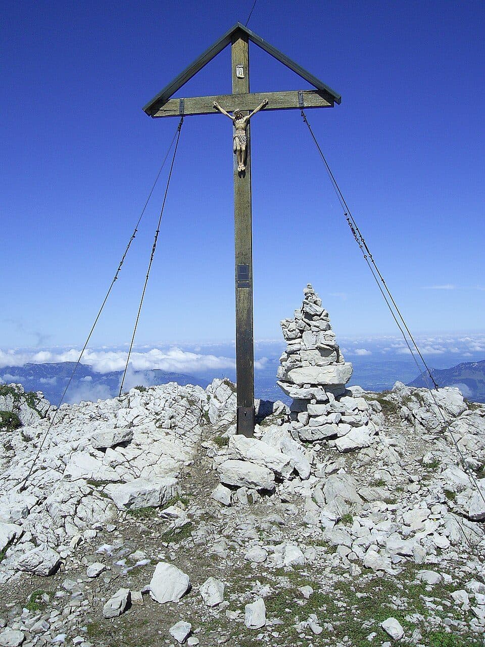 Großer Daumen — zdjęcie 3