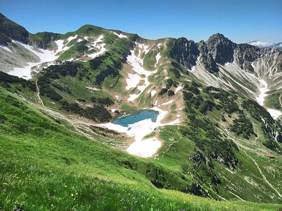 Geißfuß