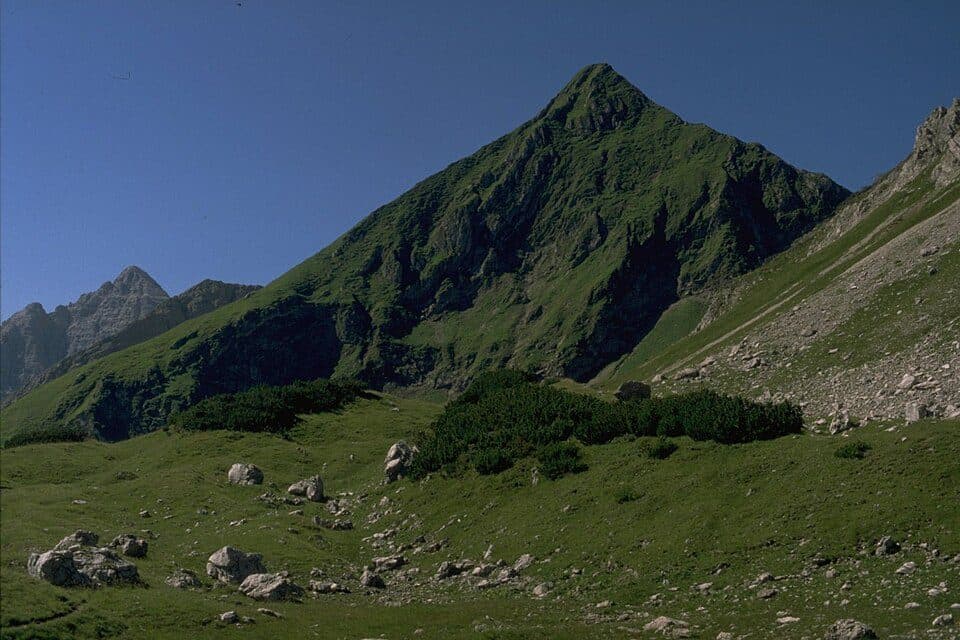 Lärchwand