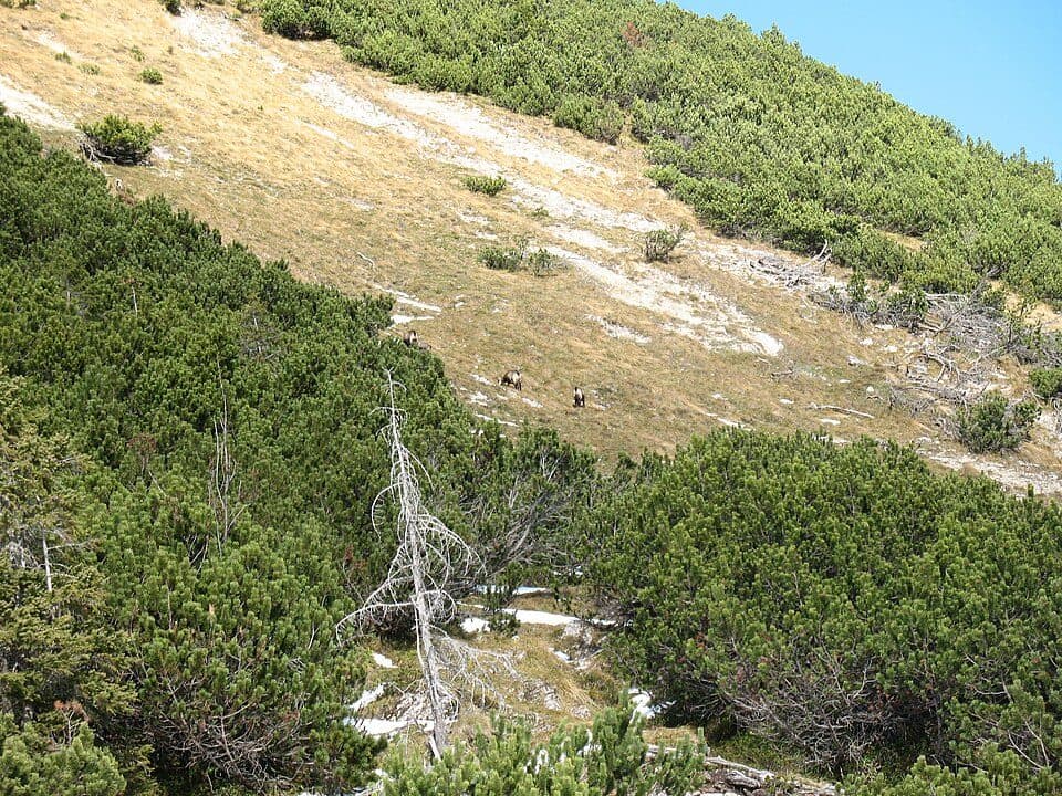 Litnisschrofen — zdjęcie 2