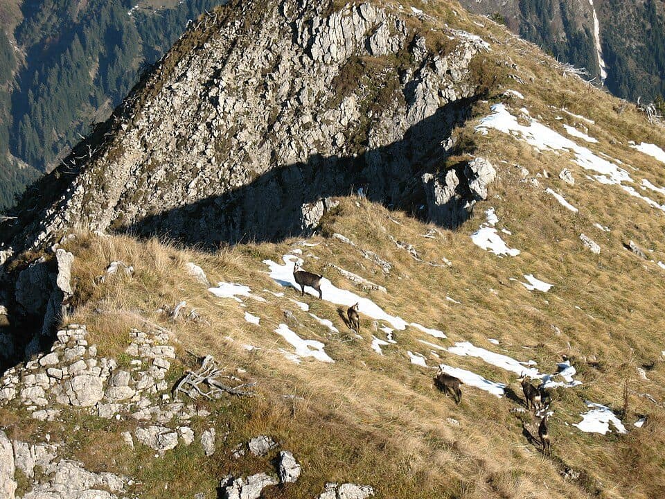 Krinnenspitze — zdjęcie 3