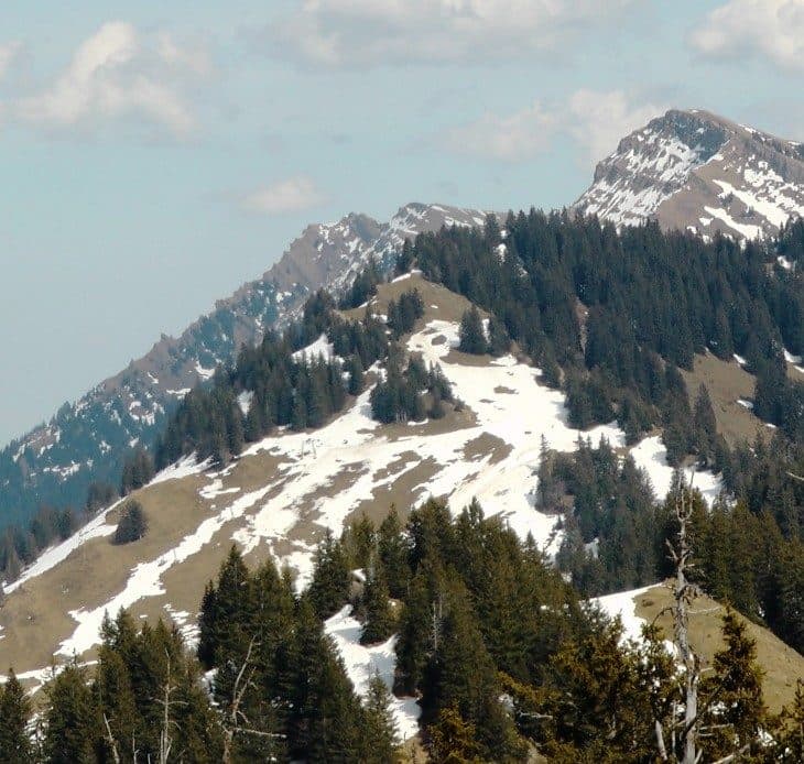 Eineguntkopf — fotografie 3