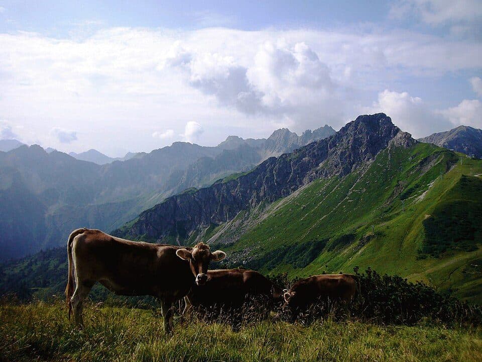 Kanzelwand — zdjęcie 2