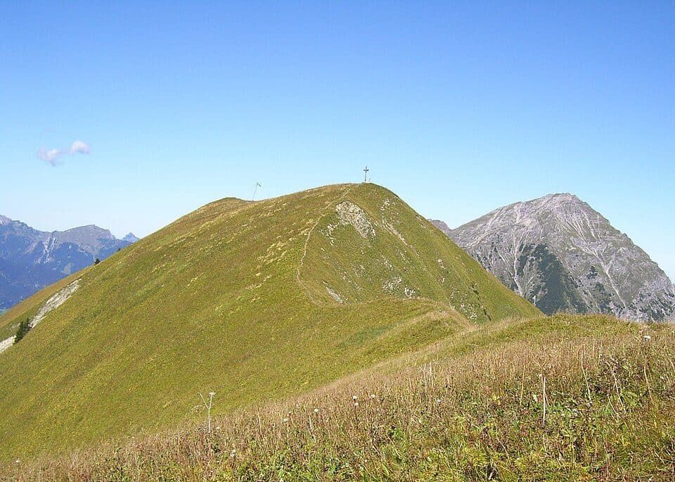 Hönig — zdjęcie 2