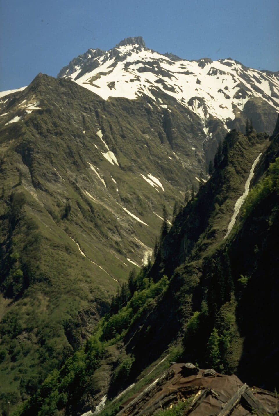 Mädelekopf