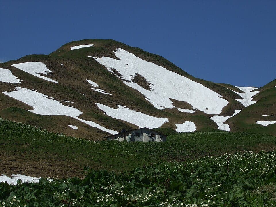 Haldenwanger Kopf — zdjęcie 2