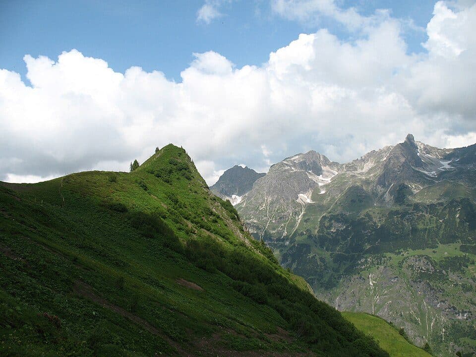 Muskopf — zdjęcie 2