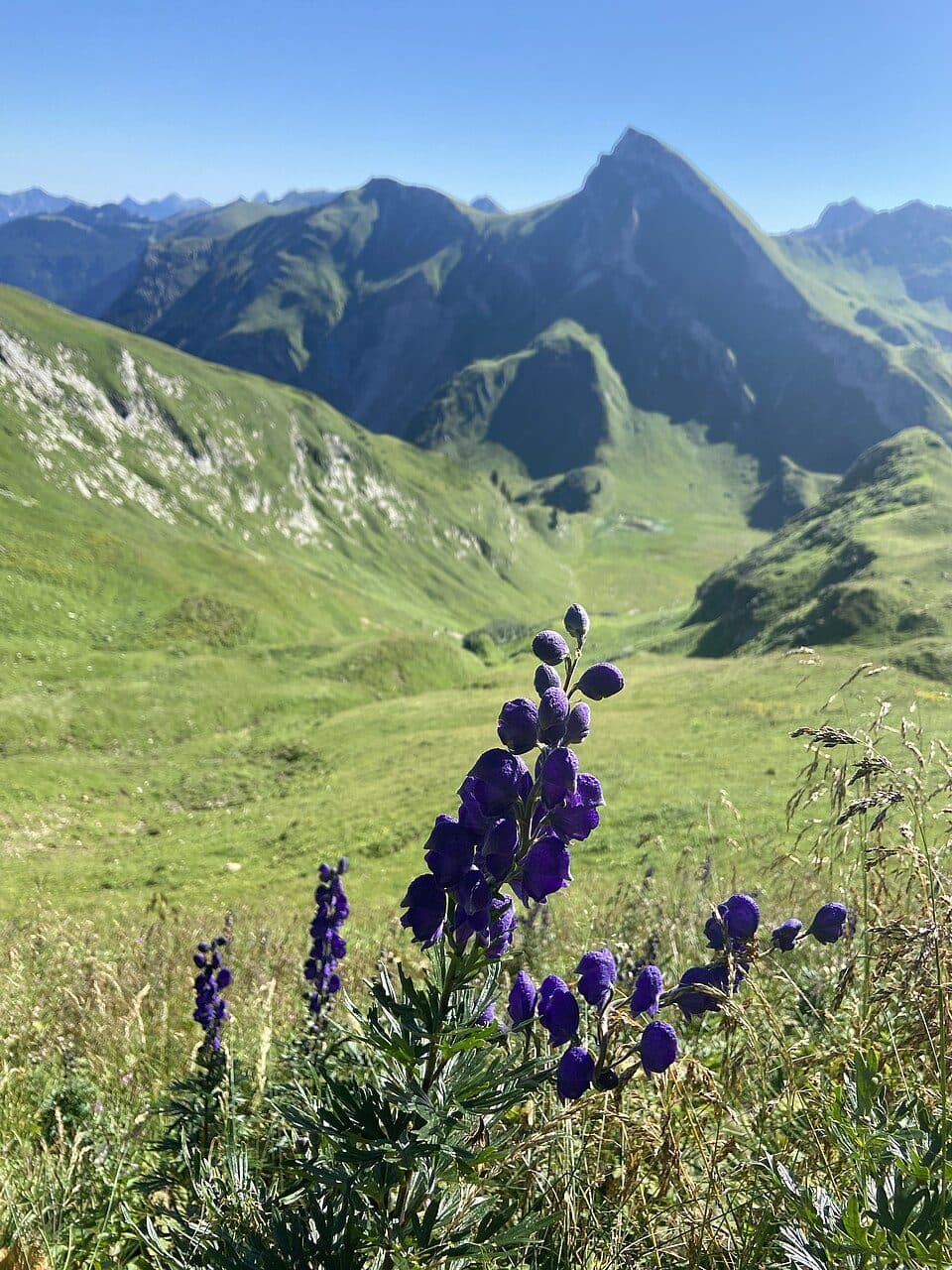 Rote Spitze — zdjęcie 2