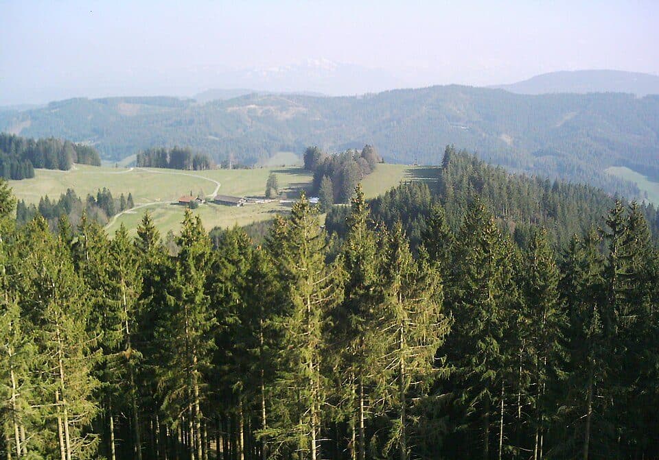 Raggenhorn