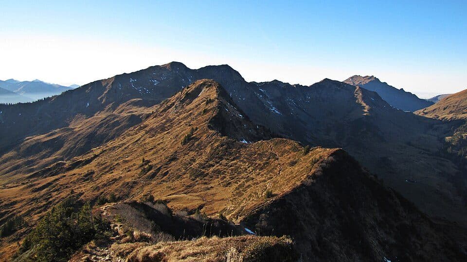 Westlicher Ochsenhofer Kopf