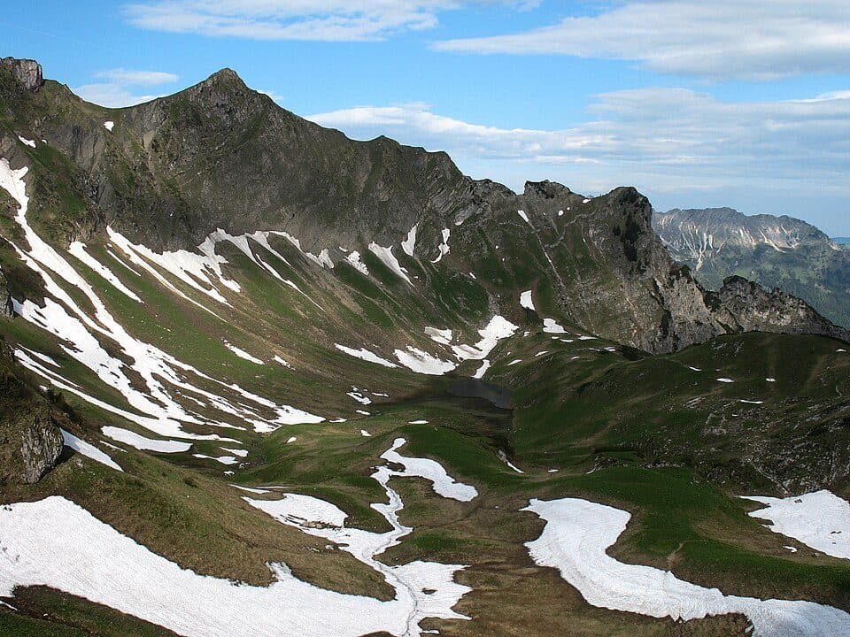 Älpelekopf