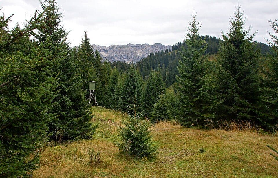 Sonthofner Hörnle — zdjęcie 3