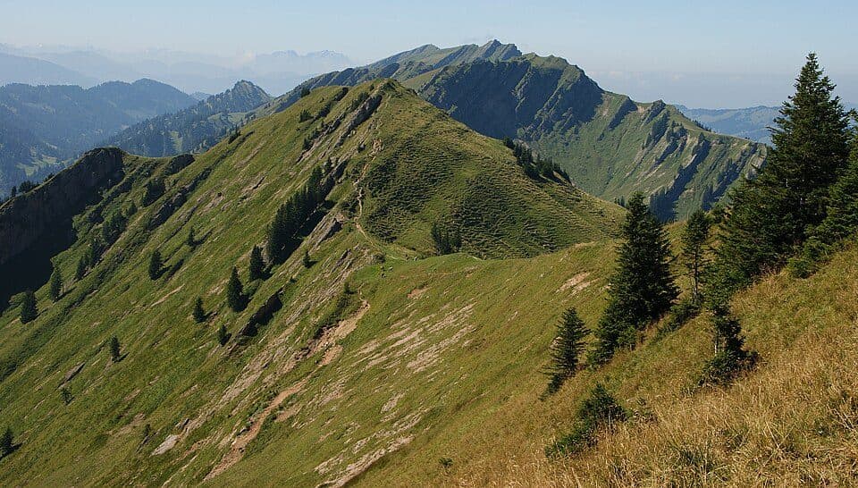 Sedererstuiben — Foto 2