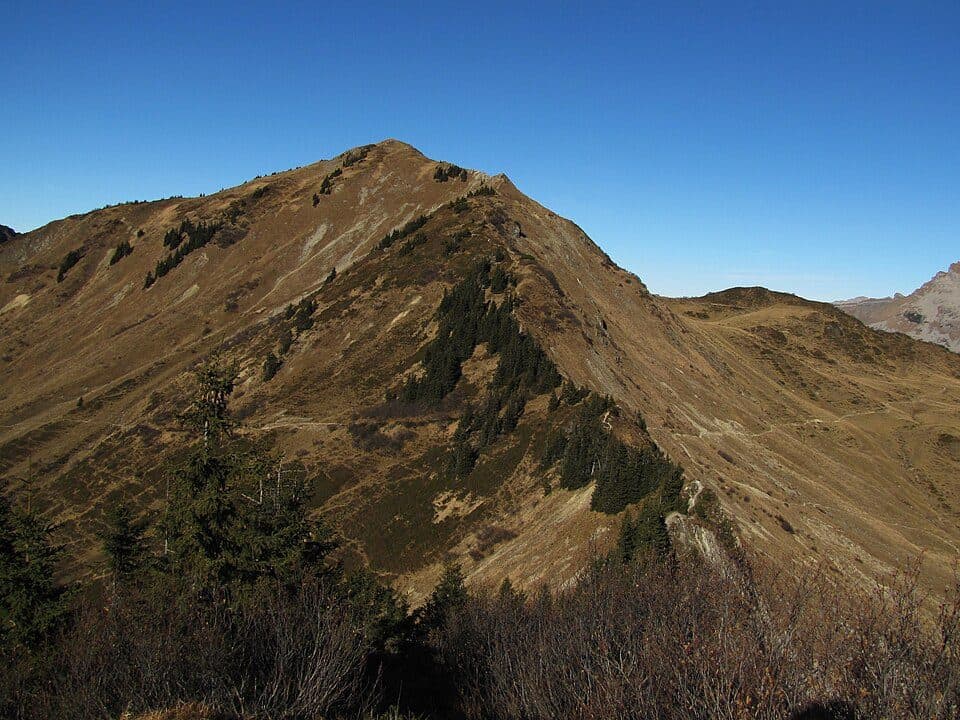Grünhorn