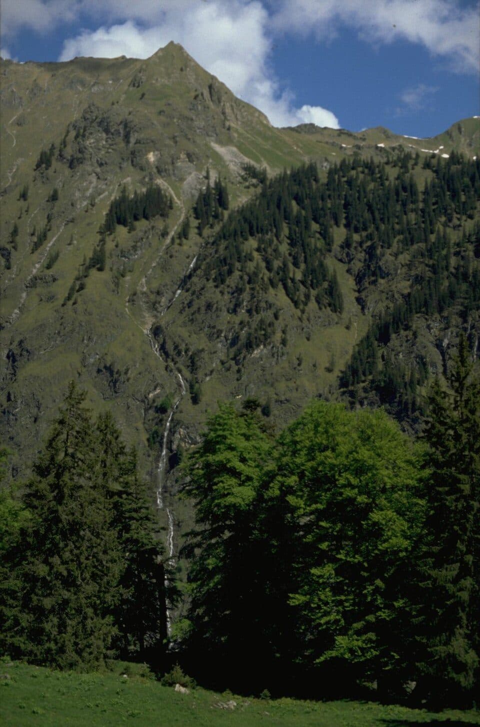 Seeköpfle — zdjęcie 2
