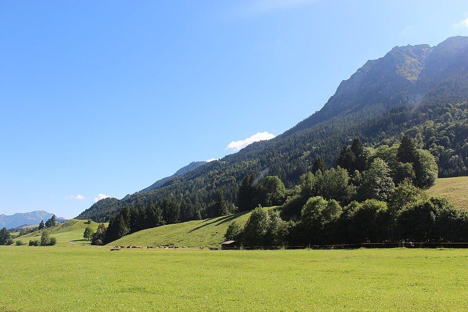 Schnippenkopf — zdjęcie 2