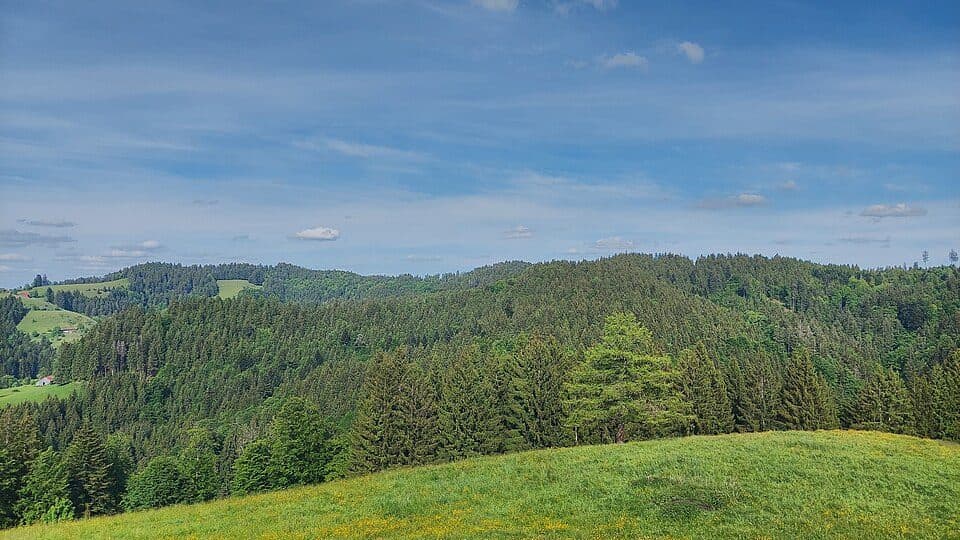 Änger