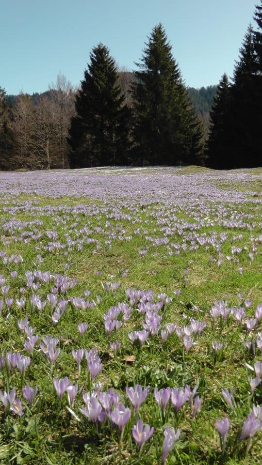 Hochsiedel — fotografie 3