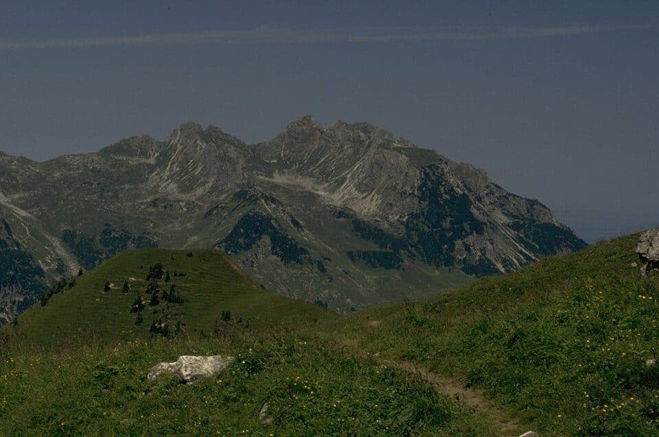 Alpkopf