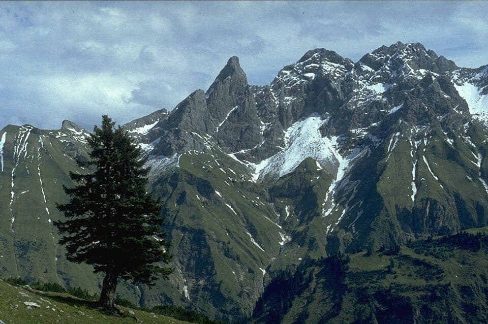 Habaum — zdjęcie 2