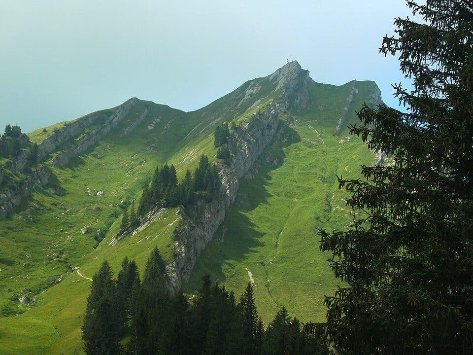 Rindalphorn