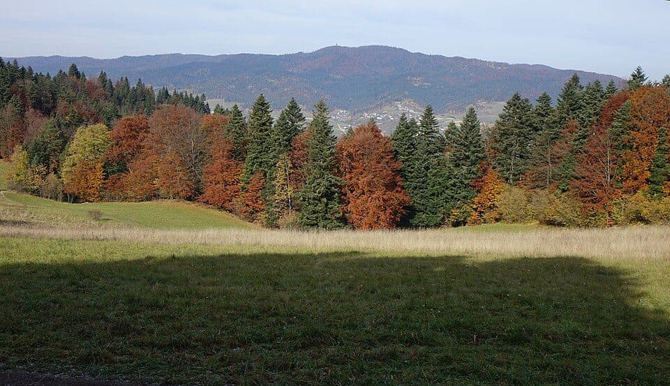 Tylmanowa - Lubań