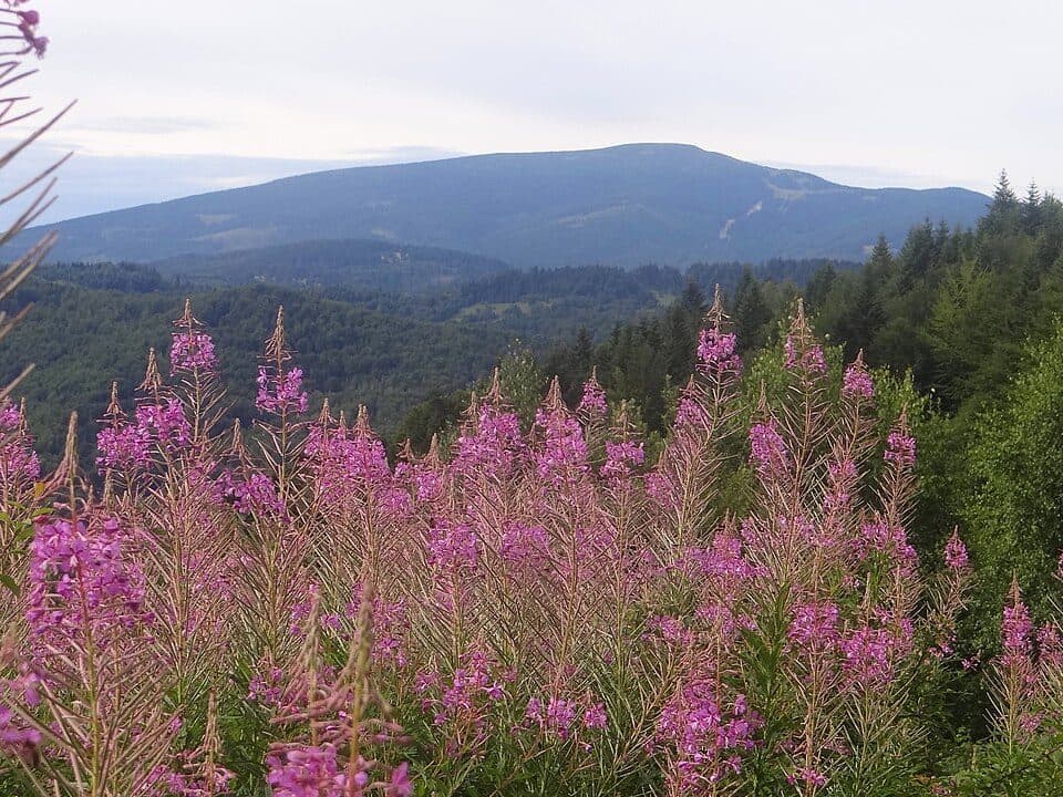 Pilsko — zdjęcie 2