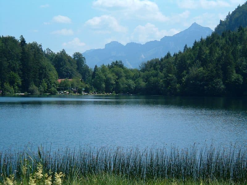 Alatsee — Foto 3