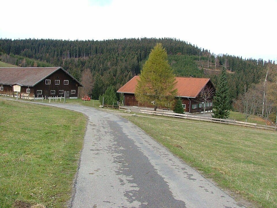Alpe Wenger Egg — zdjęcie 3