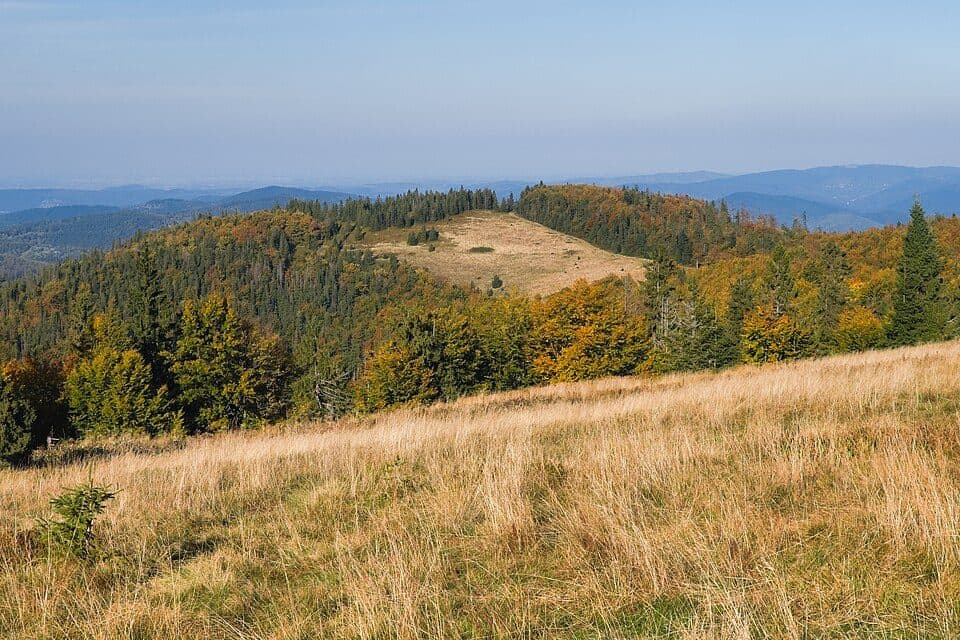Szlak do schroniska "Zygmuntówka"