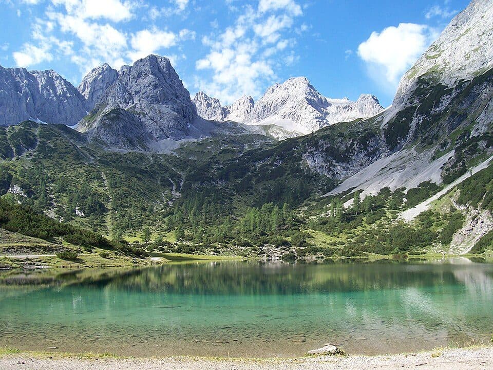 Drachenkopf