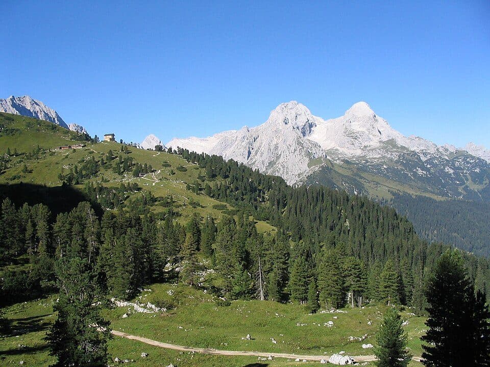 Alpengarten auf dem Schachen — zdjęcie 2
