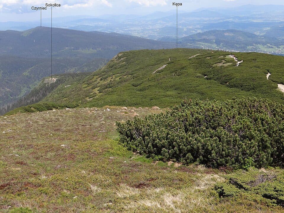 Kępa (Beskid Żywiecki)