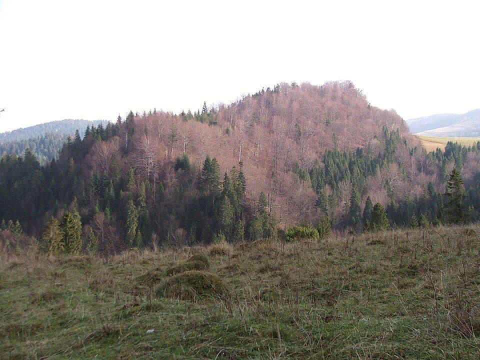 Homole (szczyt w Pieninach)