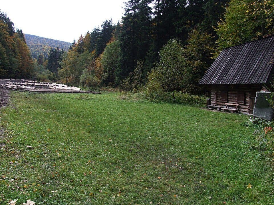 Ścieżka edukacyjna „Dolina Gorcowego Potoku”