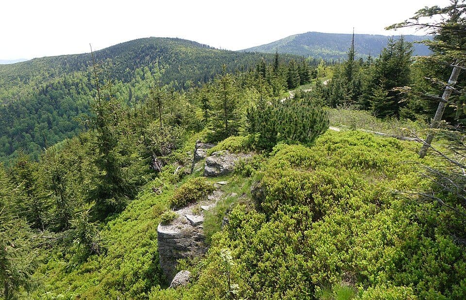 Straconka - Smrekowiec